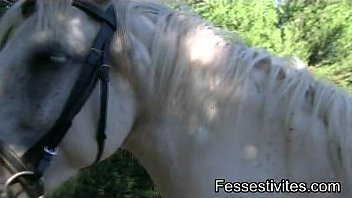 Cavalo comendo mulher