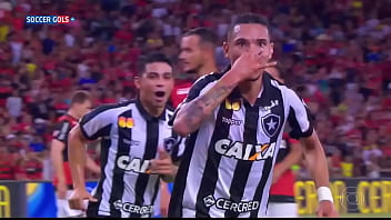 Palmeiras x botafogo sub 20